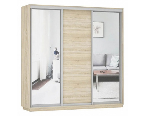 Шкаф-купе Экспресс Медиум (2 зеркала) Трио 2100x600x2200