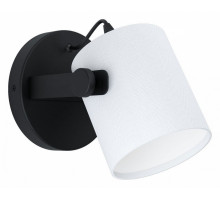 Спот Eglo Hornwood 1 43427