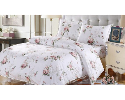 Постельное белье евростандарт AP-13