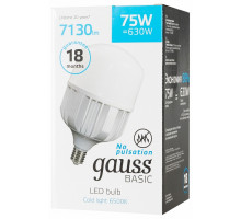 Лампа светодиодная Gauss Basic E40 75Вт 6500K 11734382