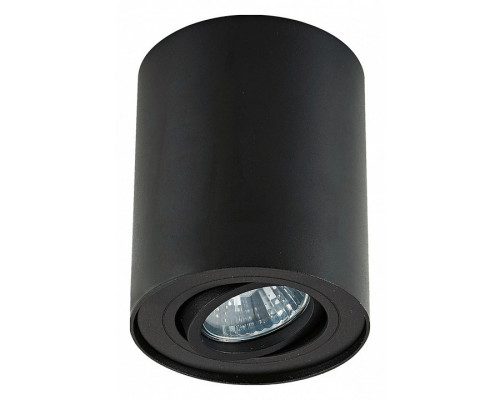 Накладной светильник Zumaline Rondoo 20038-BK