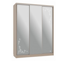 Шкаф-купе Бассо 4-600 цветы 2