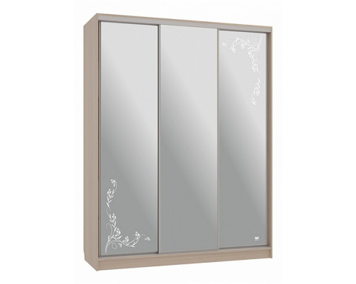 Шкаф-купе Бассо 4-600 цветы 2