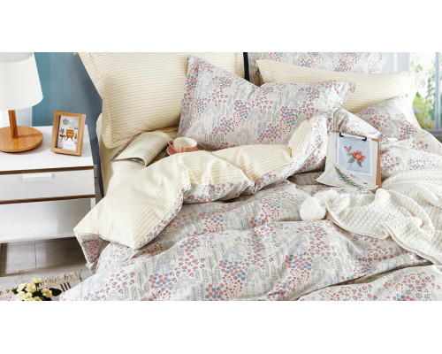 Постельное белье евростандарт Perfecto 013-EH