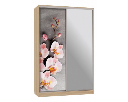 Шкаф-купе Рио 9-600 78