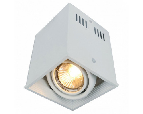 Накладной светильник Arte Lamp Cardani A5942PL-1WH