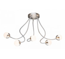 Потолочная люстра Globo Roslin 24134-5D