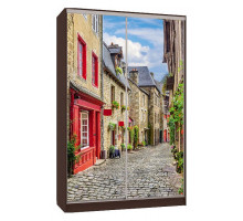 Шкаф-купе Рио 7-600 яблоня