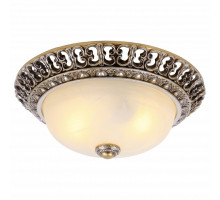 Накладной светильник Arte Lamp Torta A7131PL-2SA