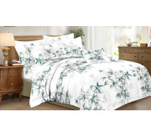 Постельное белье полутораспальное Art Color 077-AC