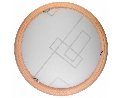 Накладной светильник TopLight Debora TL9540Y-00PN