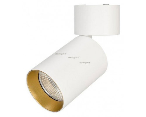 Светильник на штанге Arlight SP-POLO-SURFACE-FLAP-R85-15W White5000 (WH-GD, 40 deg) 027559