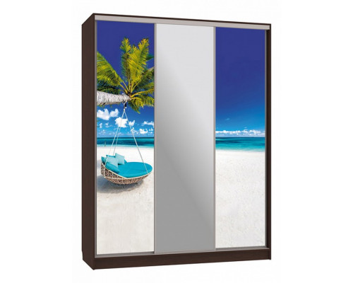 Шкаф-купе Бассо 10-600 77