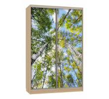 Шкаф-купе Гранд 7-600 57