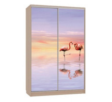 Шкаф-купе Гранд 7-600 19