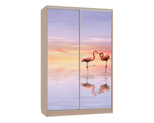 Шкаф-купе Гранд 7-600 19