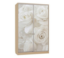 Шкаф-купе Гранд 7-600 розы