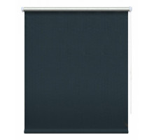 Штора рулонная (78x175 см) Сильвер