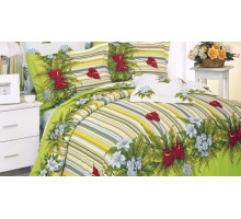 Постельное белье двуспальное B-10