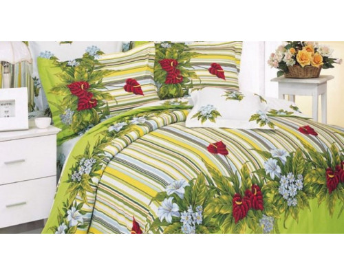 Постельное белье двуспальное B-10