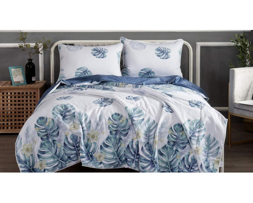 Постельное белье евростандарт Дарси