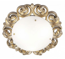 Накладной светильник Maytoni Lantana H300-03-G