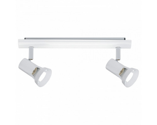 Спот Paulmann Teja 66703