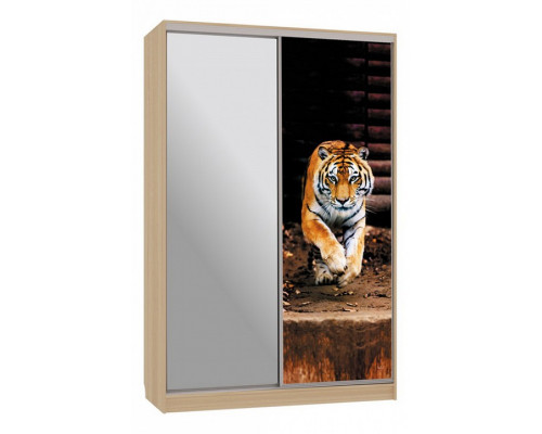 Шкаф-купе Гранд 9-600 87