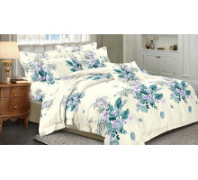 Постельное белье двуспальное Art Color 089-AC