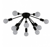 Потолочная люстра F-promo Draco 2580-12U