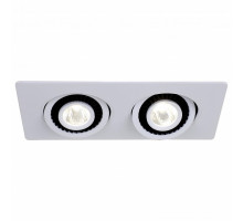 Встраиваемый светильник Favourite Cardine 2417-2U