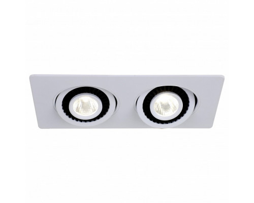 Встраиваемый светильник Favourite Cardine 2417-2U