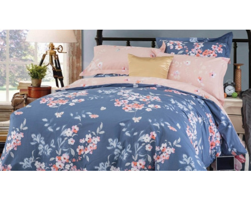 Постельное белье двуспальное B-176