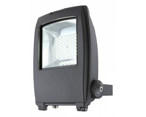 Настенный прожектор Globo Projecteur I 34220