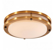 Накладной светильник Citilux Бостон 