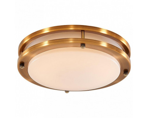 Накладной светильник Citilux Бостон