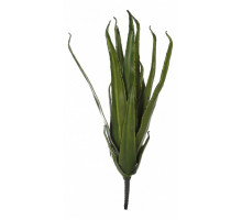 Зелень (50 см) Алоэ 58008200