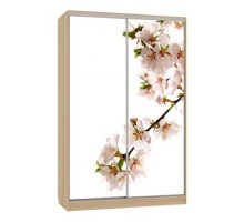 Шкаф-купе Гранд 7-600 яблоня