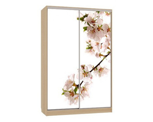 Шкаф-купе Гранд 7-600 яблоня