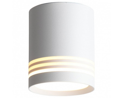 Накладной светильник ST-Luce Cerrione