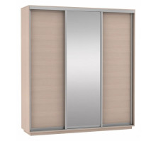 Шкаф-купе Экспресс Медиум (1 зеркало) Трио 2400x600x2200
