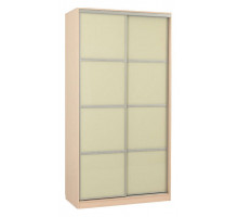 Шкаф-купе Рио 2-600