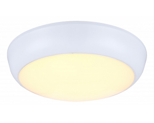 Накладной светильник Globo John 32116