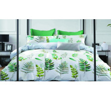 Постельное белье евростандарт Вальтери С