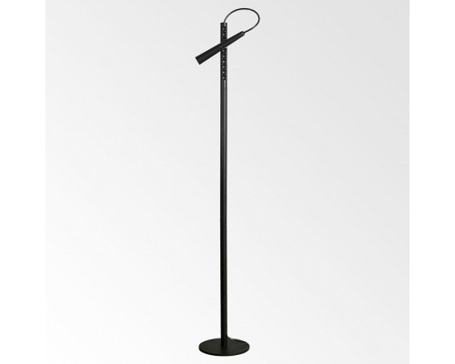 Торшер Lussole Dawson