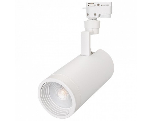 Светильник на штанге Arlight Lgd-Zeus LGD-ZEUS-2TR-R100-30W White6000 (WH, 20-60 deg)