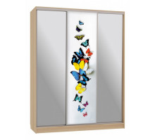 Шкаф-купе Бассо 9-600 88