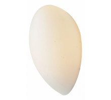 Накладной светильник ST-Luce Bango 