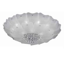 Накладной светильник Lightstar Lobo 804070