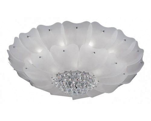 Накладной светильник Lightstar Lobo 804070